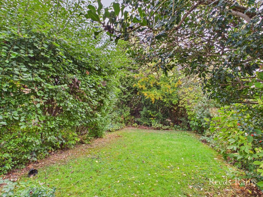 Image 13