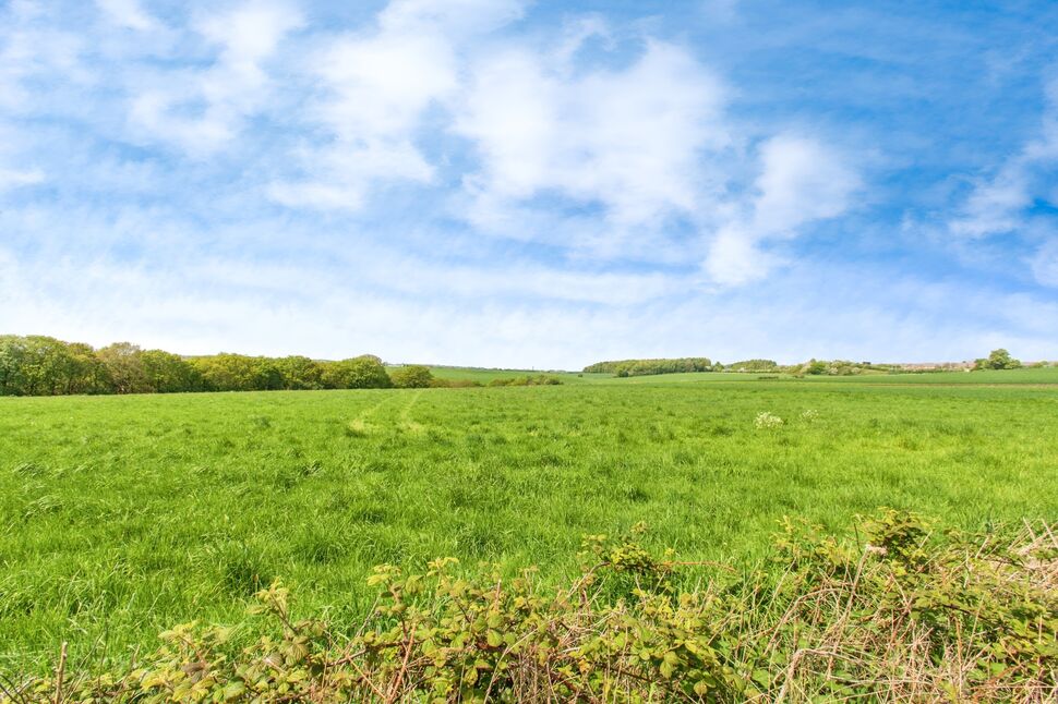 Image 18