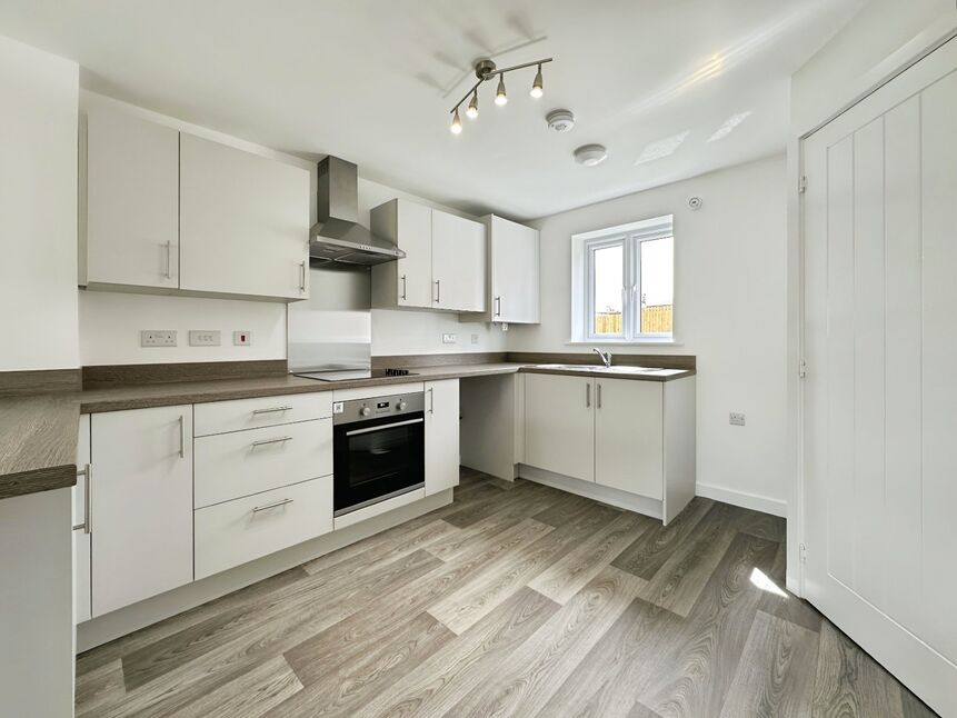 Kitchen / Living Area