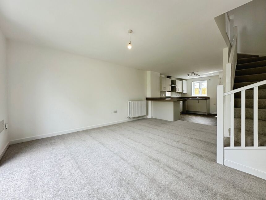 Kitchen / Living Area