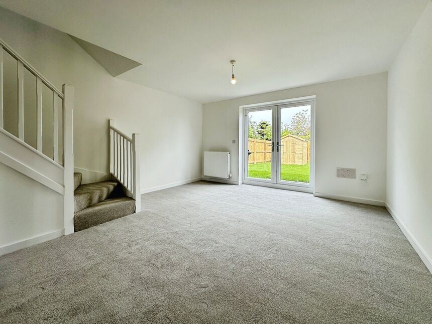 Kitchen / Living Area
