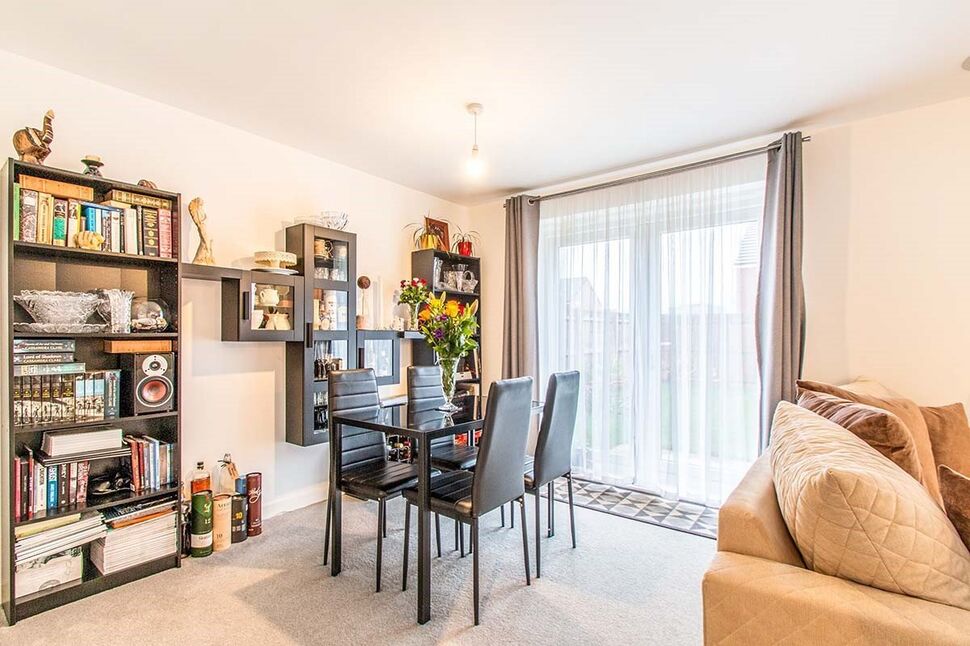 Lounge / Dining Area