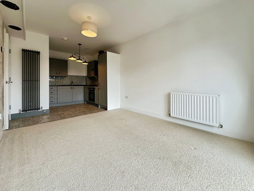 Kitchen / Living Area