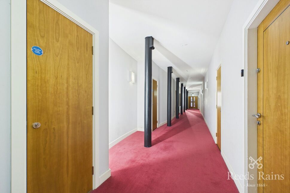 Image 11