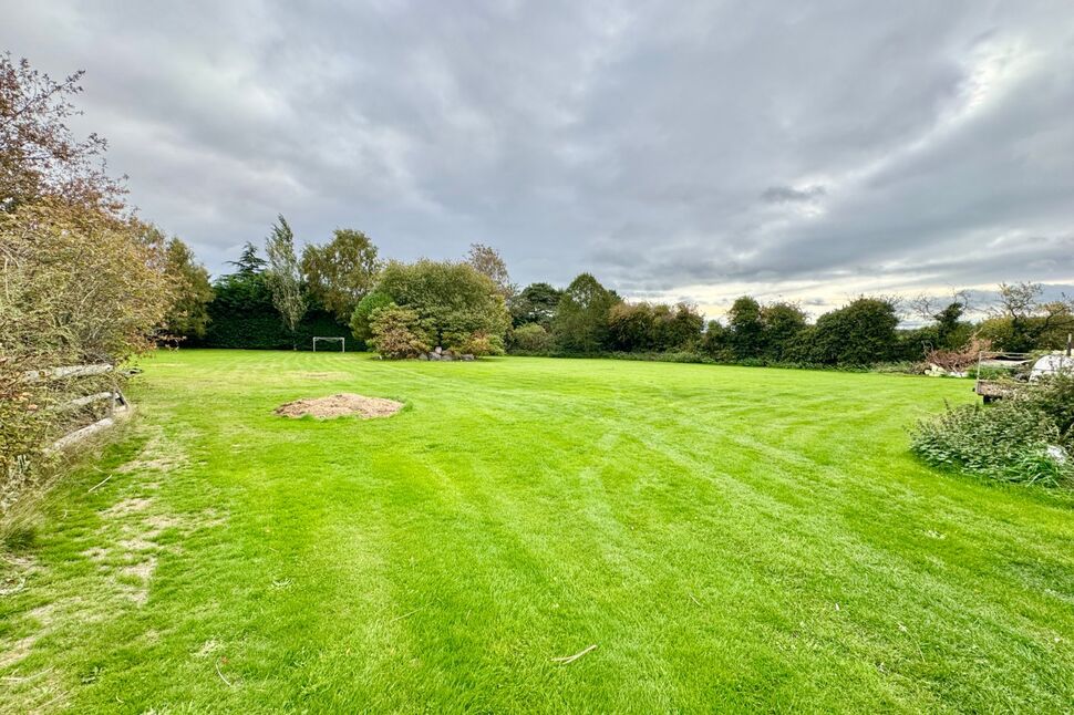 Main Field