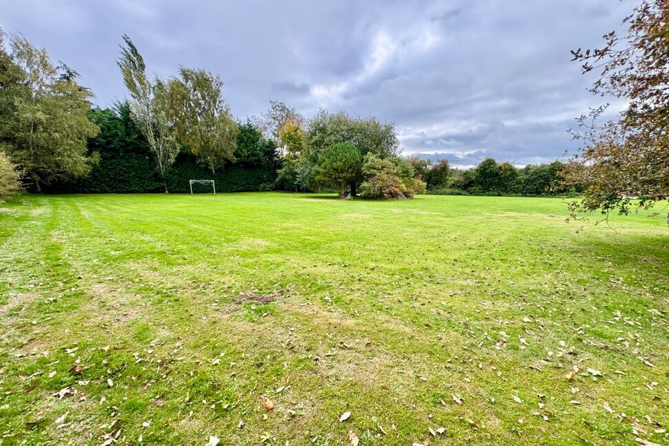 Main Field
