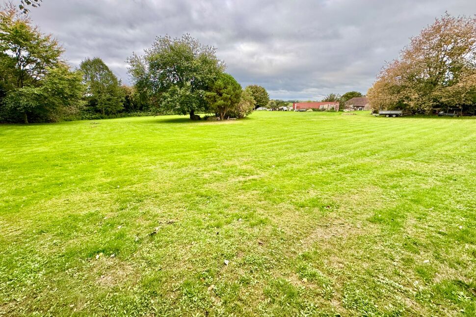 Main Field