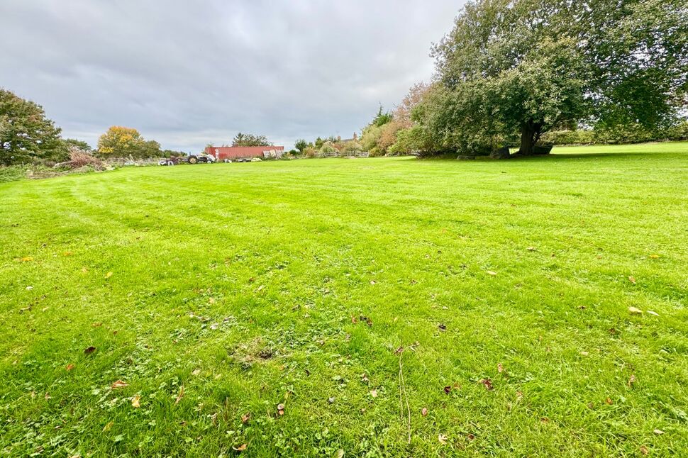Main Field