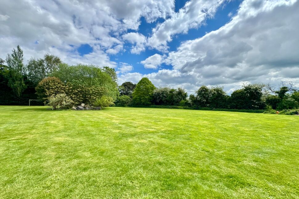 Main Field