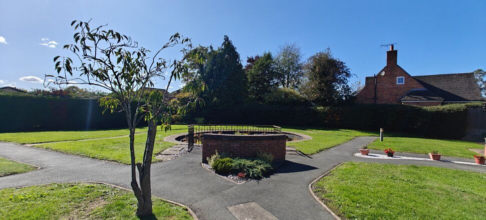 Image 15