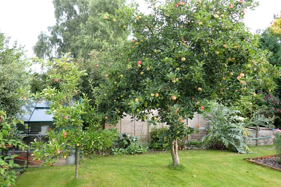 Gardens