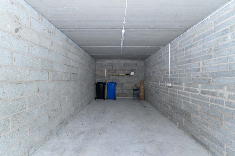 Image 13