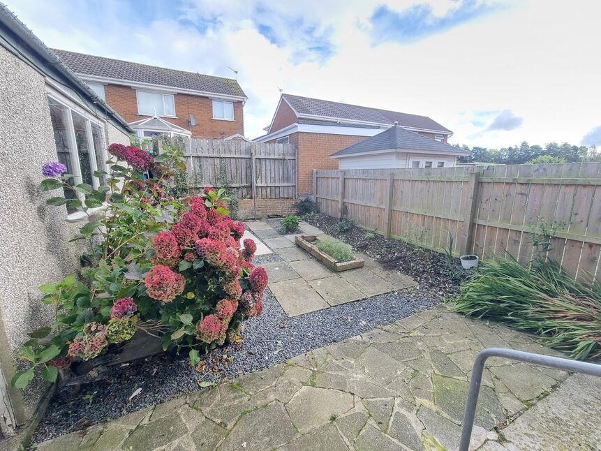 Image 15