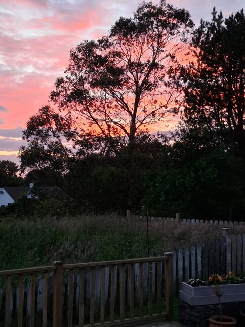 Image 53
