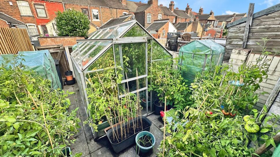 Rear Garden / Yard