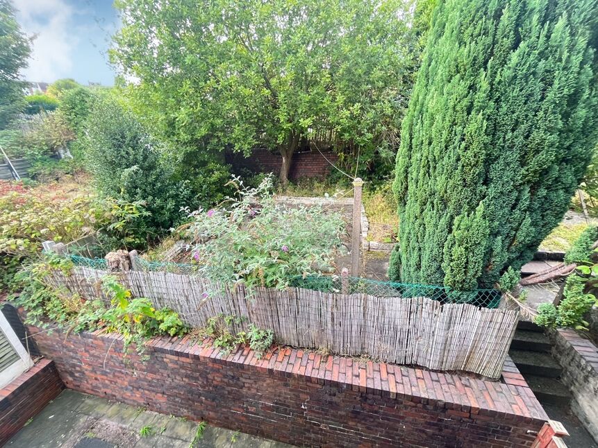 Image 18