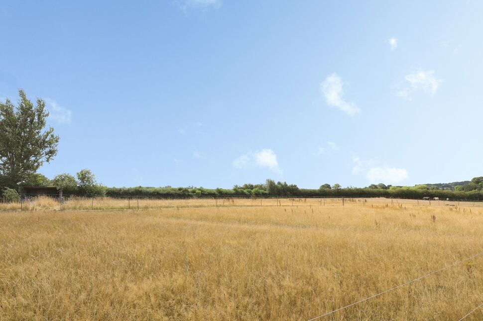 Image 17