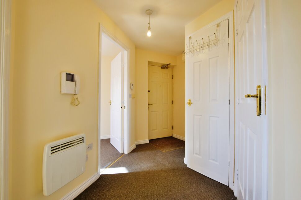Image 6