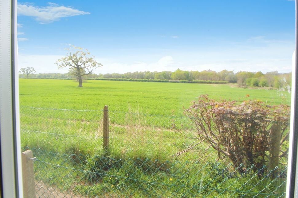 Image 14