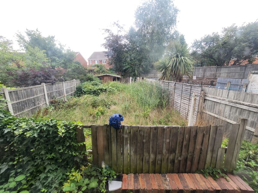 Image 12