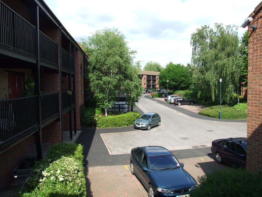 Image 8