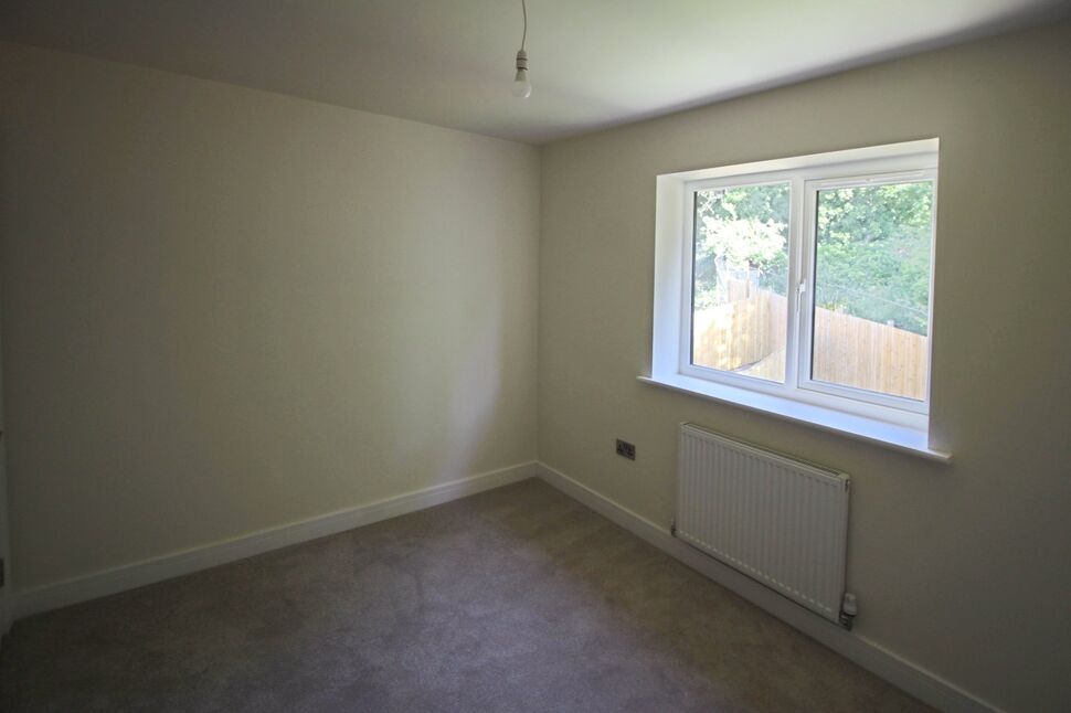 Image 20