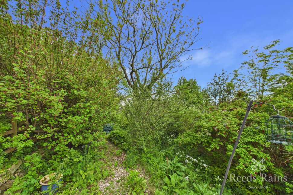 Image 27
