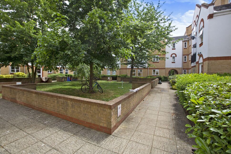 Image 7