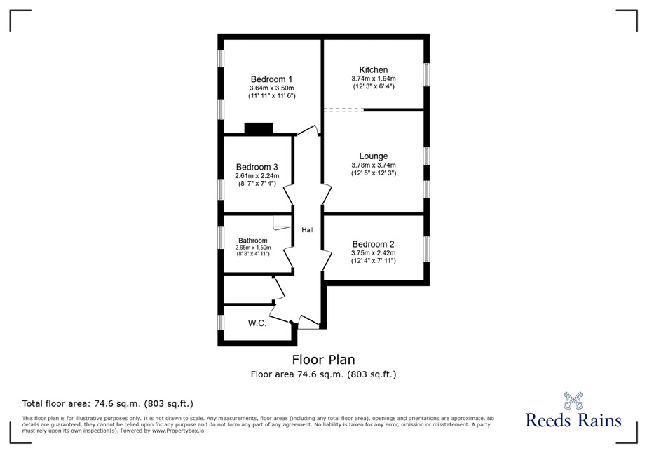 Image 11
