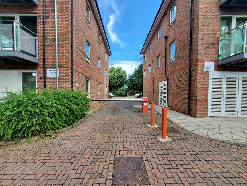 Image 15