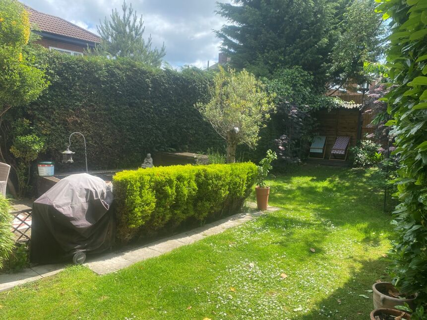 Image 18