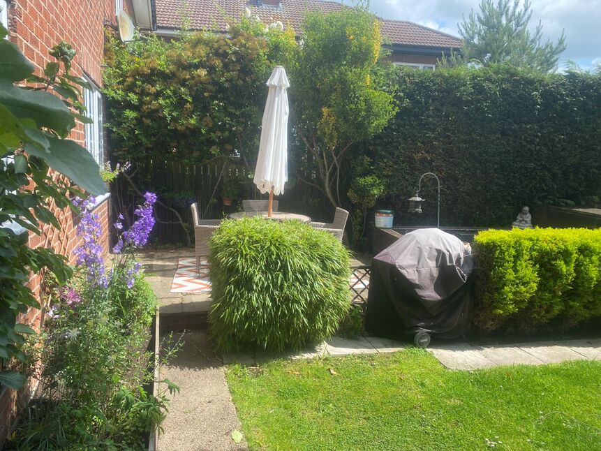 Image 17