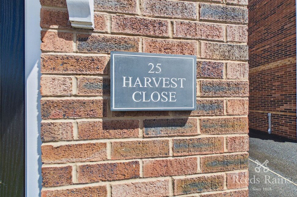 Image 16