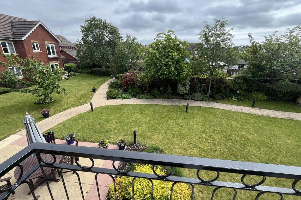 Image 6