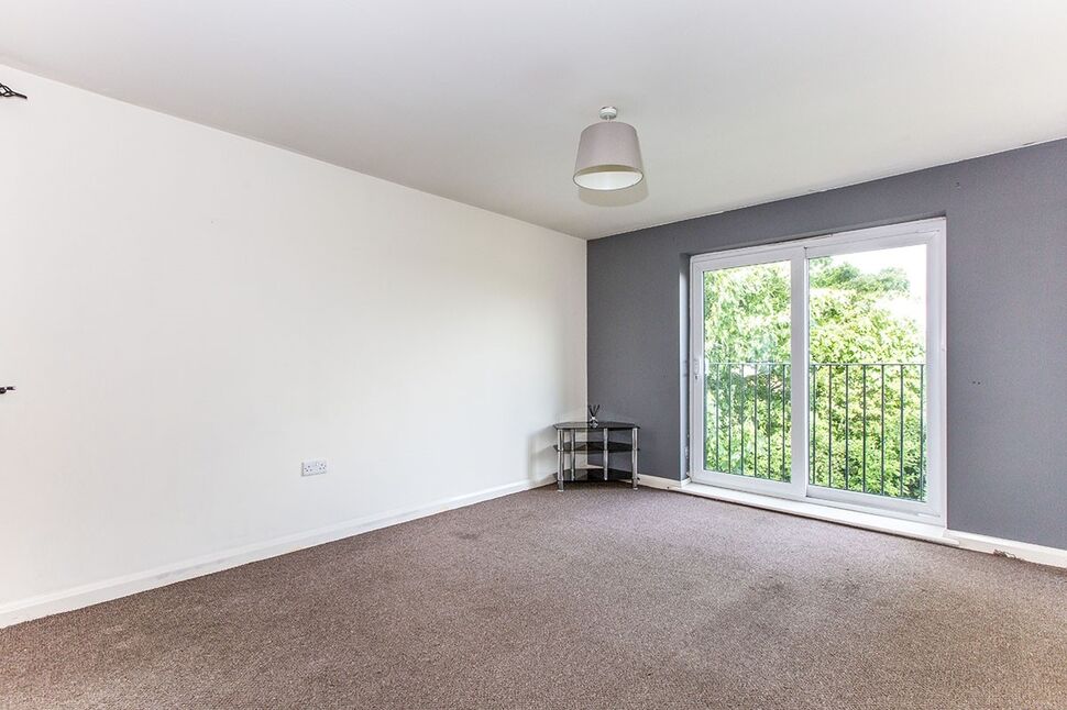 Kitchen / Living Room