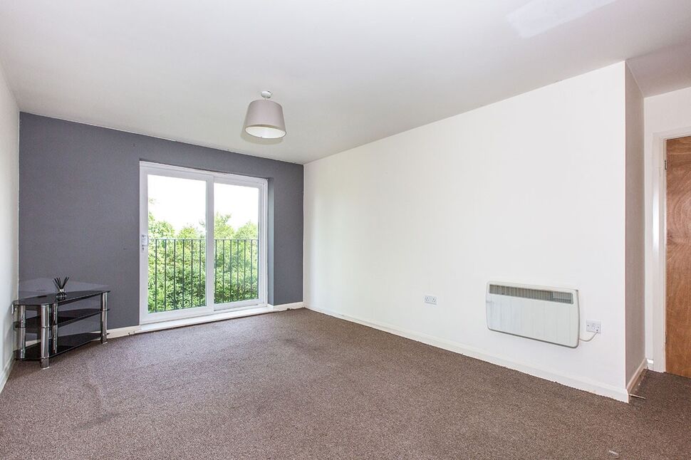 Kitchen / Living Room