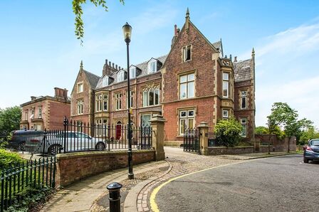 1 bedroom  Flat to rent