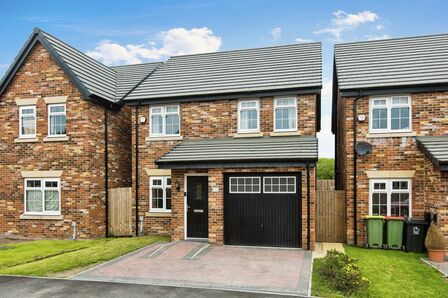 Caspian Avenue, 3 bedroom Detached House to rent, &pound;1,400 pcm