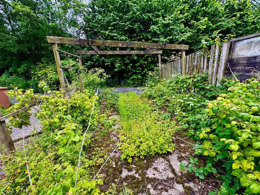 Image 14