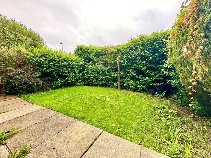 Image 12