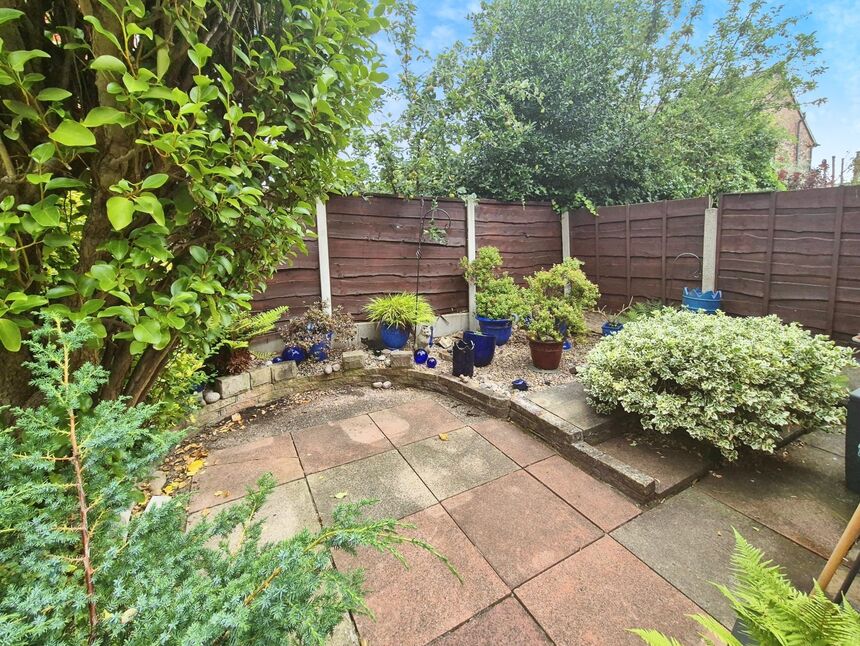 Image 15