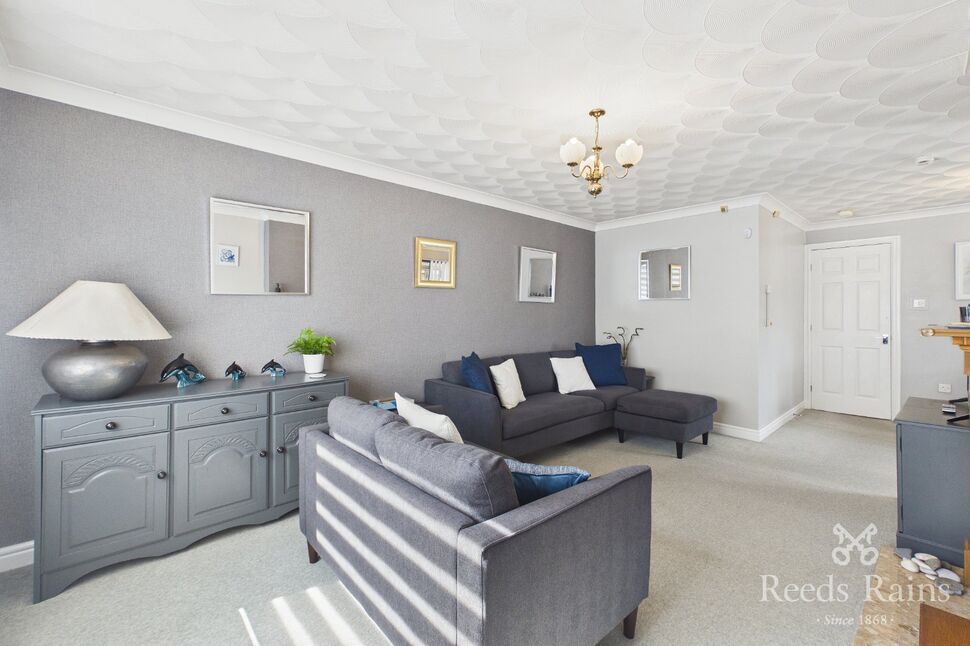 Living / Dining Room