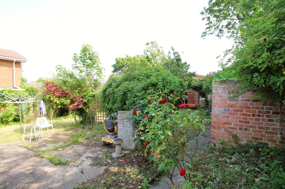 Image 12