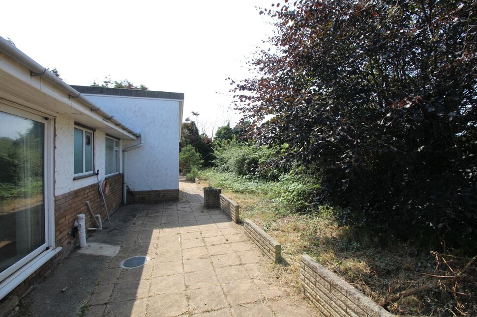 Image 13