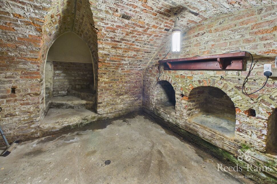 Image 15