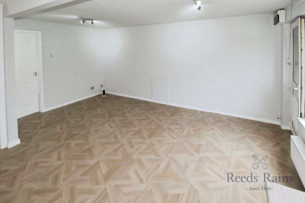 Living Room / Kitchen