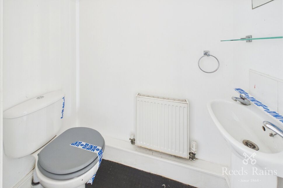 Image 15
