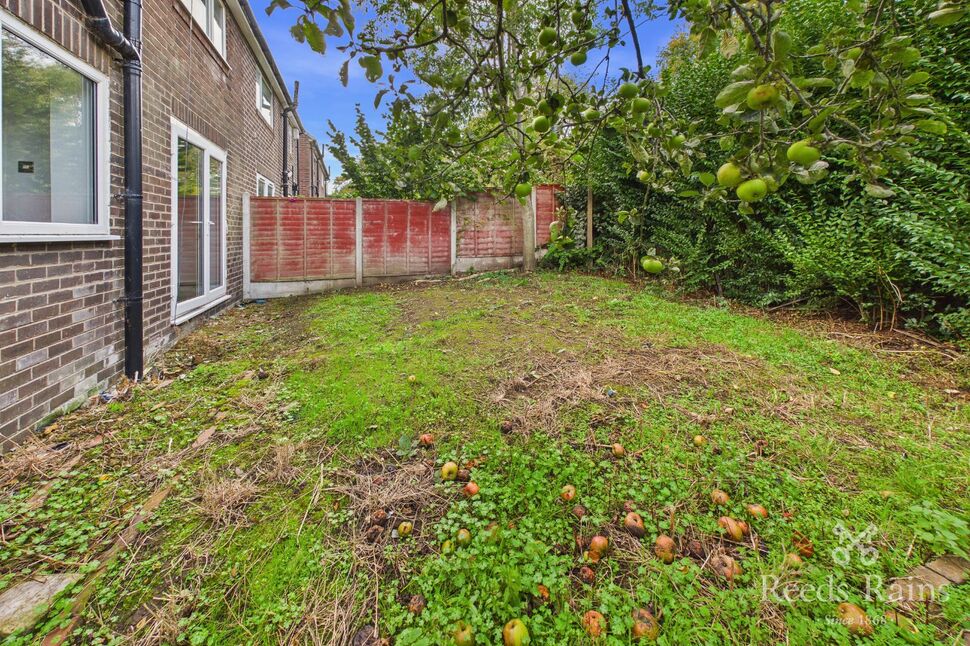 Image 15