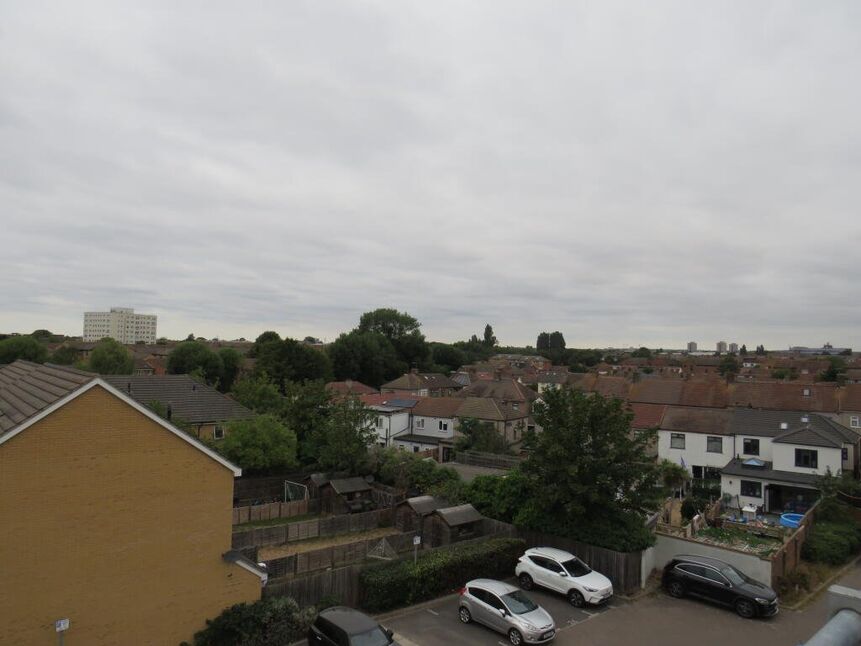 Image 15