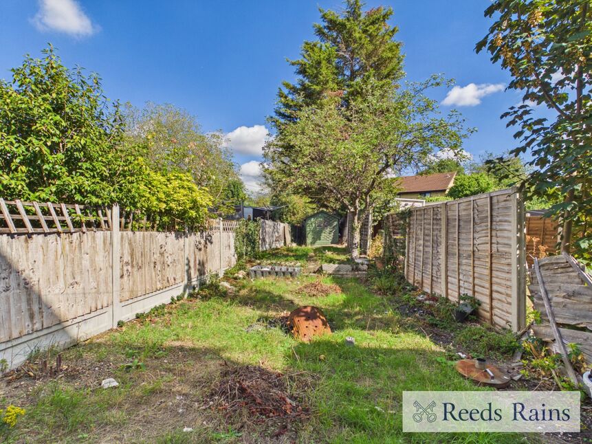Image 15